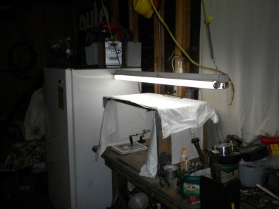 colonial and light box pix 012.JPG