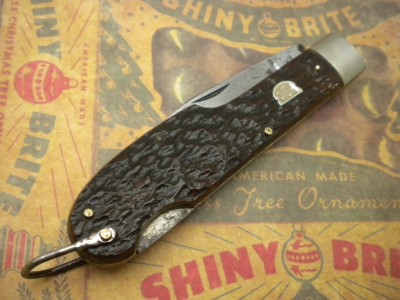 premiers an scout 006.JPG