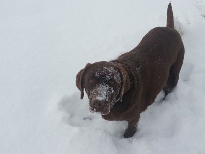 Snow play with Nikki.jpg