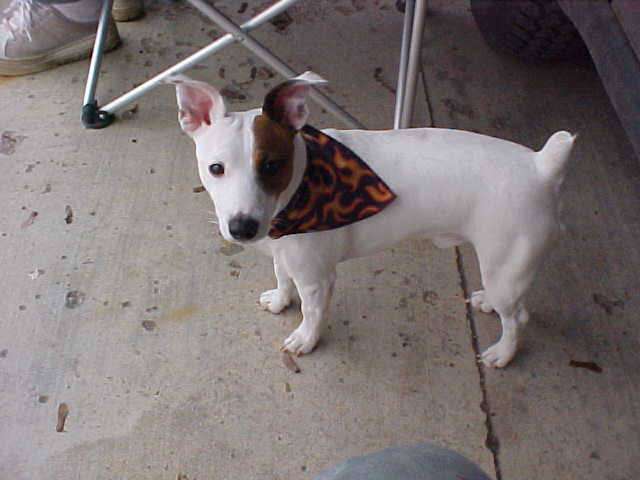 Buddy3.JPG
