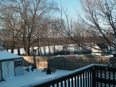 Backyard; December greetings... 006.jpg