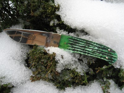 Utica Big Pine 015.jpg