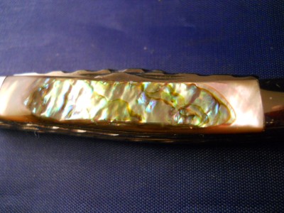 Christmas Gift Abalone 2.JPG