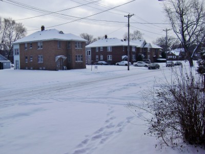 From My Front Door.JPG