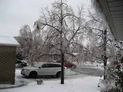 winter shots 003.jpg