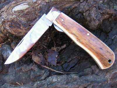 EDC Black Stump.JPG