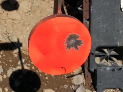 6 inch plate at 300 yards_Oracle 308.jpg