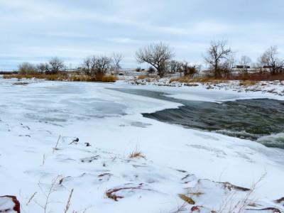 rapids04.jpg