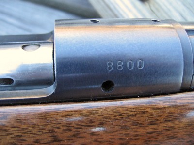 Serial #8800.JPG
