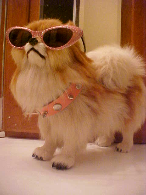 FideauxPink1.JPG