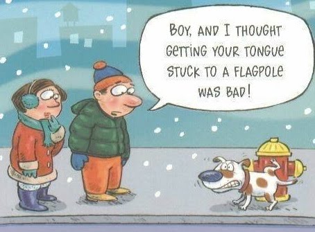 dog cartoon.jpg