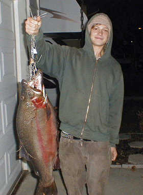 Big Rainbow Trout.jpg