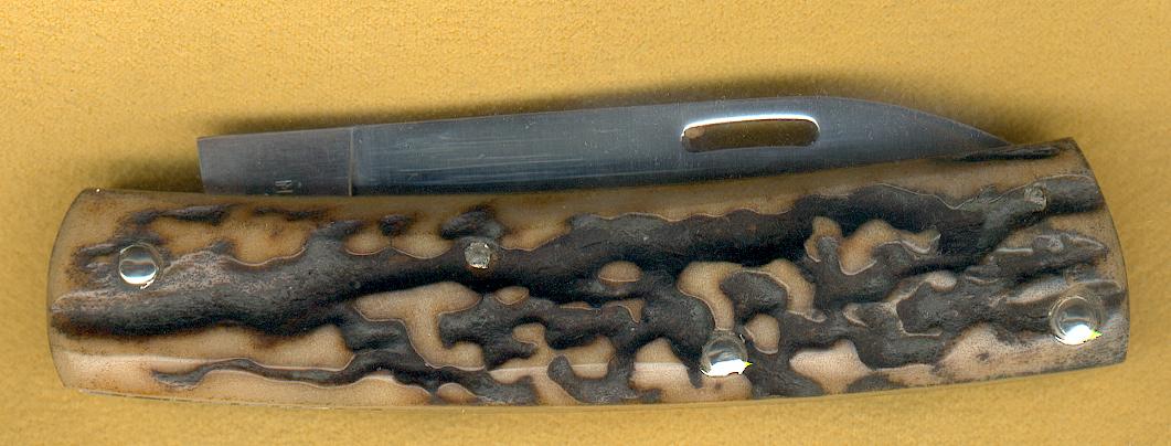 PopcornScagelBack.jpg