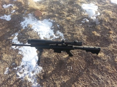 DPMS .308LR_Barska 6-24 Swat Scope_Elk Hunt.jpg