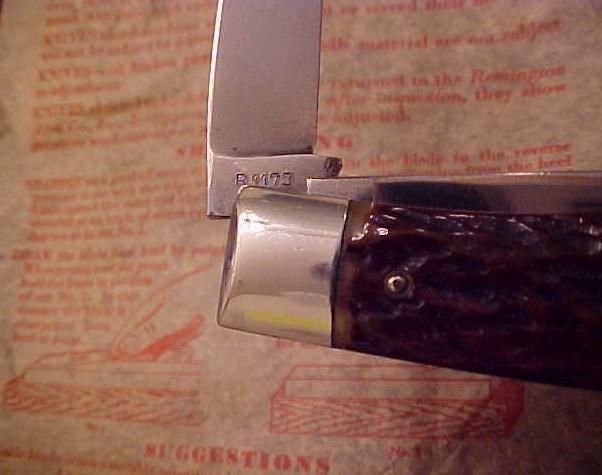 r1173_5.JPG