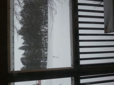 20140205_141045.jpg