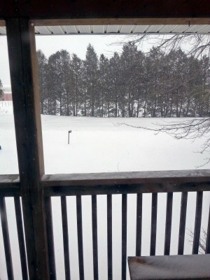 20140205_141045.jpg