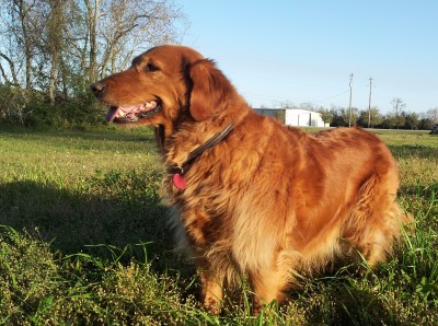 20130314_183323.jpg