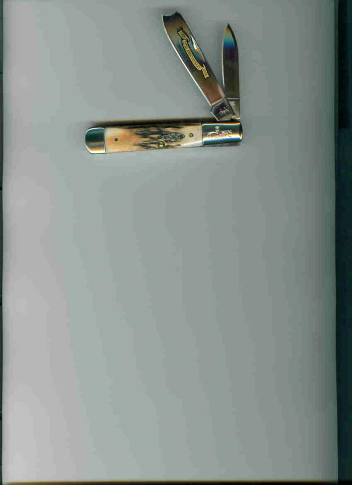 CCC 06 RAZOR STAG.jpg