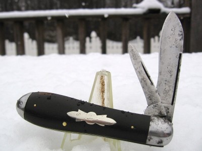 Ebony Jack in Snow.JPG