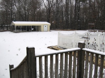 IMG_0115.JPG