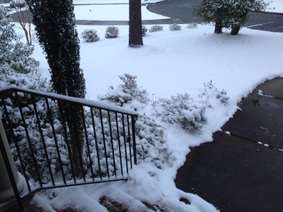 Winter Storm 2-11-14 (6).JPG