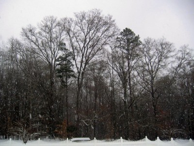 IMG_0106.JPG