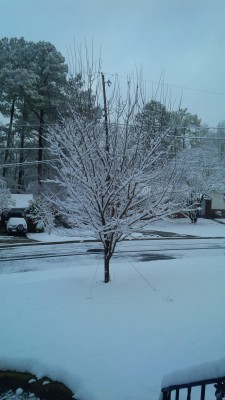 IMG_00000465.jpg