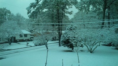 IMG_00000466.jpg