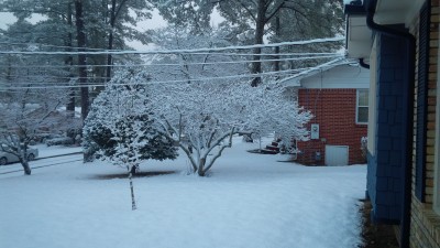 IMG_00000468.jpg