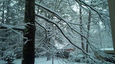 IMG_00000469.jpg