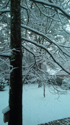 IMG_00000472.jpg