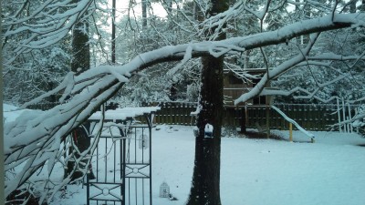 IMG_00000476.jpg