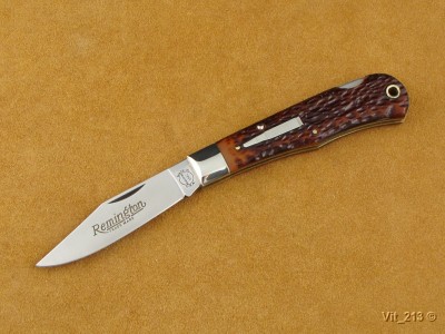 Remington R1303.jpg