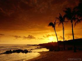 15768_wallpaper280.jpg