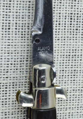 Alamo-5.jpg