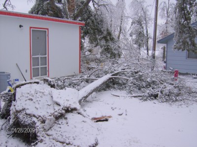 ice storm '09 001.jpg