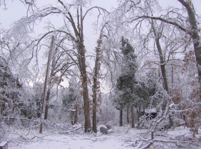ice storm '09 012.jpg