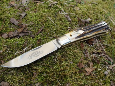 Stag 72 01.jpg