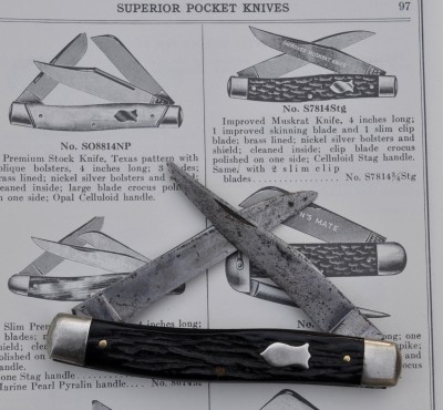 Schrade Hawbaker_489.JPG