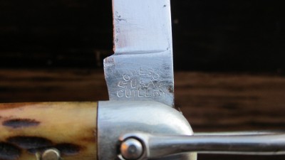 IMG_7175.JPG