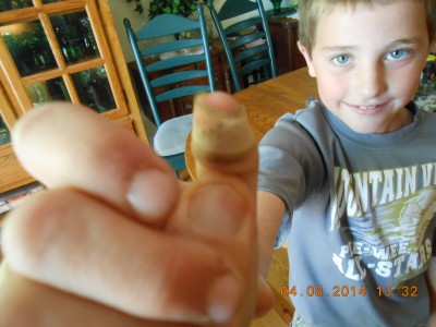 DSCN3606.JPG