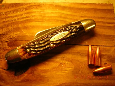 Case 6318 bone.jpg