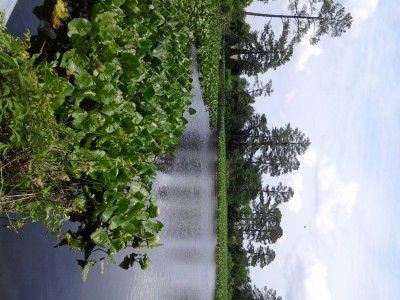 0609131401.jpg