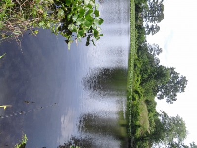 0609131401a.jpg