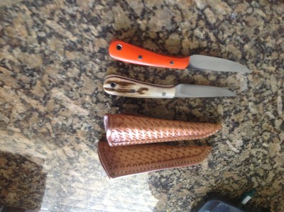 two  bird and trout.JPG