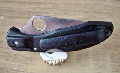 Spyderco Delcia -- Closed Pile.JPG