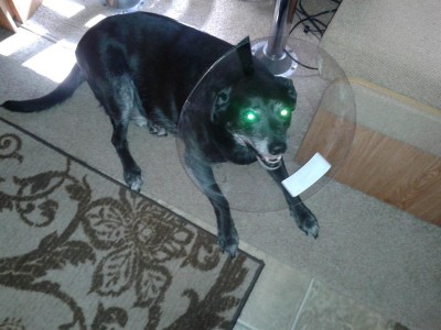 20140512_161923.jpg