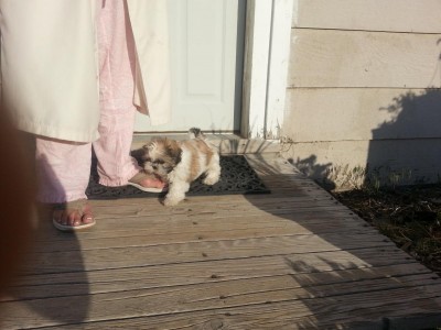 Lucy at home.jpg