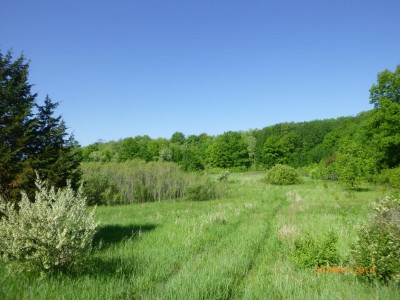 P1000214.JPG